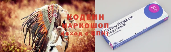 ПСИЛОЦИБИНОВЫЕ ГРИБЫ Арсеньев