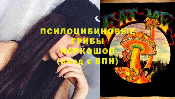 соль ск Аркадак