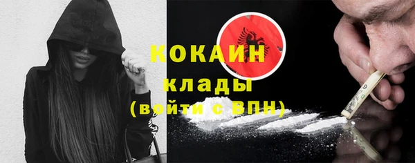ПСИЛОЦИБИНОВЫЕ ГРИБЫ Арсеньев