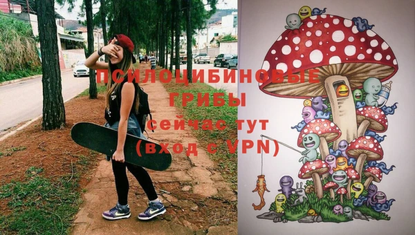 соль ск Аркадак