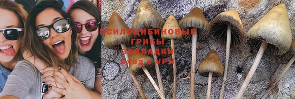 прущий лед Армянск