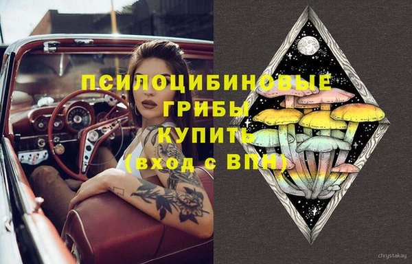 ПСИЛОЦИБИНОВЫЕ ГРИБЫ Арсеньев