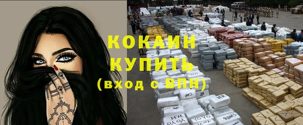 ПСИЛОЦИБИНОВЫЕ ГРИБЫ Арсеньев