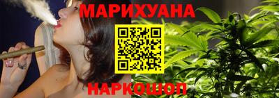 сатива Братск