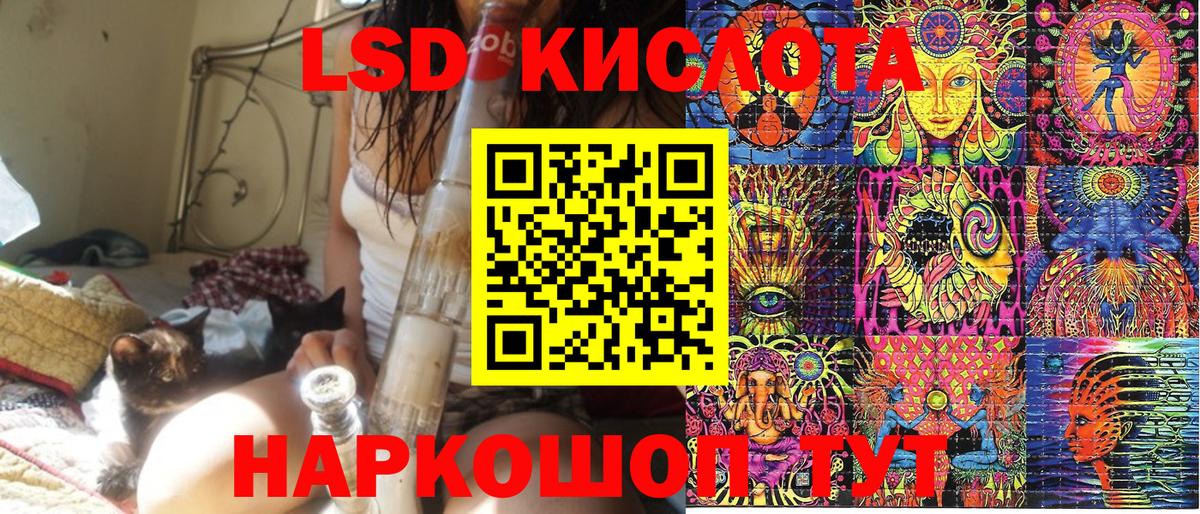 Бийск  Наркотические марки 1,5мг  Наркотические марки 1,5мг  Марки NBOMe  Вход с VPN 