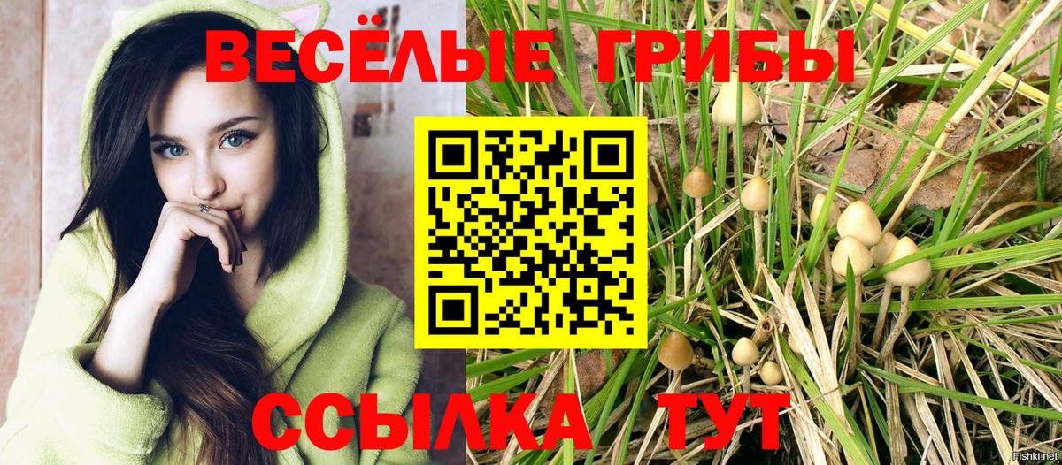 Галлюциногенные грибы GOLDEN TEACHER Бийск